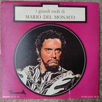 Vinile "I grandi ruoli"