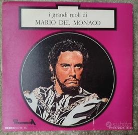Vinile "I grandi ruoli"