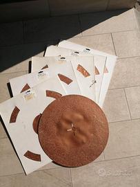 Raimondi supertitina dischi monospazzola