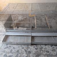 gabbia per uccelli 