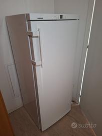 Freezer Liebherr