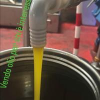 olio di olive di produzione propria