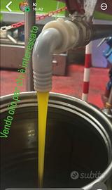 olio di olive di produzione propria