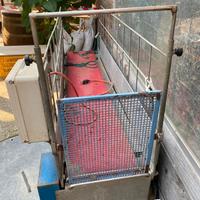 Tapis roulant per cani