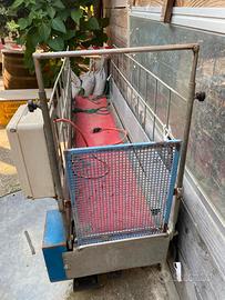 Tapis roulant per cani