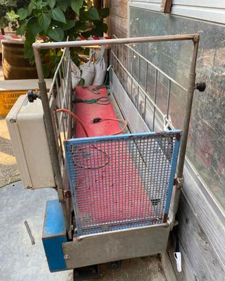 Tapis roulant per cani