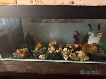 Acquario
