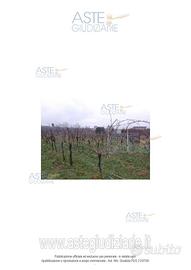 Rustico/Casale/Corte Cormons [A4345055]