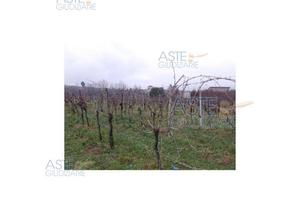 Rustico/Casale/Corte Cormons [A4345055]