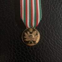 Medaglia oro 50° prima guerra mondiale