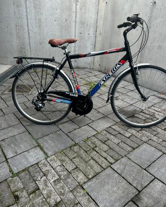 Bicicletta uomo 28 in alluminio 21 rapporti