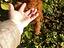 Immagine 9
