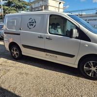 FIAT SCUDO ALLESTIMENTO TRASPORTO ANIMALI VIVI
