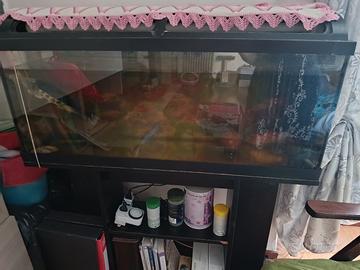 acquario