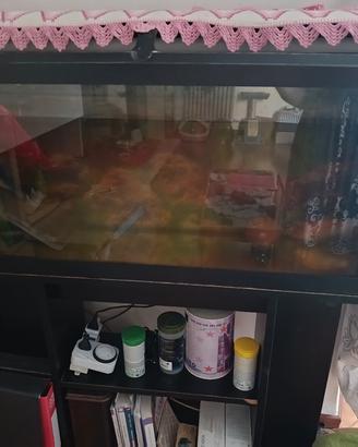 acquario