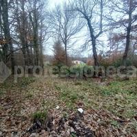 Capannone Industriale San Pietro Avellana