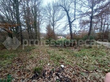 Capannone Industriale San Pietro Avellana