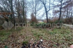 Capannone Industriale San Pietro Avellana