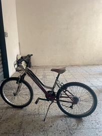 Bicicletta ragazza 24