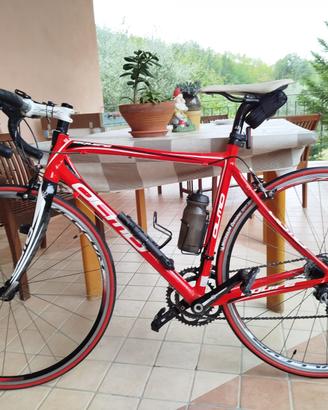 Bicicletta olmo