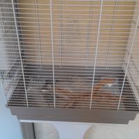 Gabbia per uccelli con piedistallo