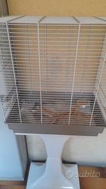 Gabbia per uccelli con piedistallo