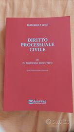 il processo esecutivo di Luiso
