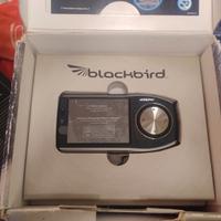 BLACKBIRD ALPINE