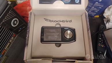 BLACKBIRD ALPINE