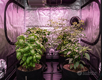 Niello M300 LED Grow Light 300W – 2 disponibili