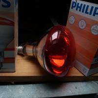 Lampada infrarosso per pulcini