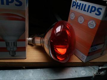 Lampada infrarosso per pulcini