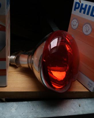 Lampada infrarosso per pulcini