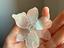 Immagine 5