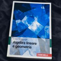 Algebra Lineare e Geometria – Schlesinger
