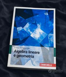 Algebra Lineare e Geometria – Schlesinger