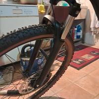 bicicletta elettrica 