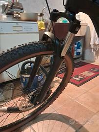 bicicletta elettrica 