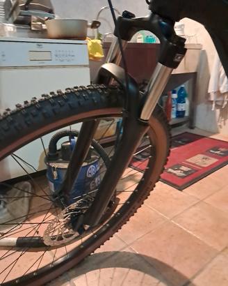 bicicletta elettrica 