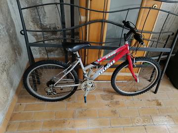 Bici Usate 