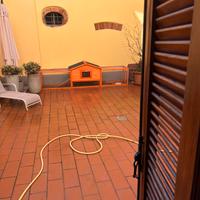 Gabbia a casetta per conigli o galline