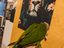 Immagine 5