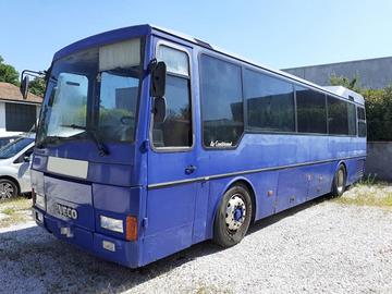 IVECO LKW/TRUCKS IVECO POKER PULMAN 48 POSTI piu