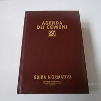 Agenda dei Comuni '94 - Guida normativa