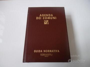 Agenda dei Comuni '94 - Guida normativa