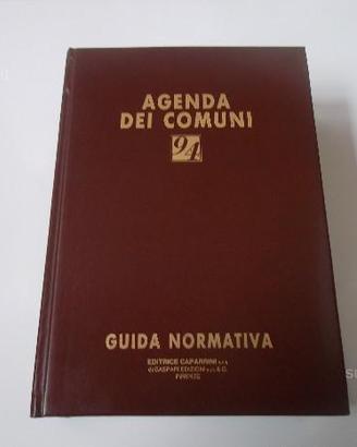 Agenda dei Comuni '94 - Guida normativa