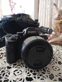 Sony a7iii