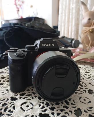 Sony a7iii