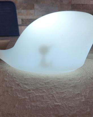 lampada