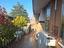 Immagine 25
